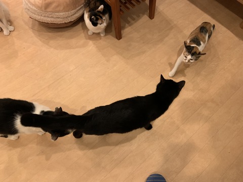 7E5033DC-A7B4-463C-A972-27CA61625C8D