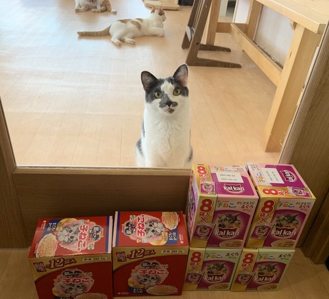 686EEECF-3748-4DBC-9372-442BE49B4596