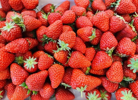 1ABECA94-50CC-42F4-AAC6-34B70A5321FD