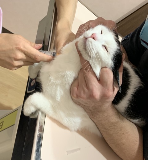 E254D895-8EB8-4A47-BC2F-AD80482AA7CB