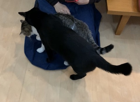 F9BAFF93-5E78-4D3D-93A6-6E9FCC0457C9