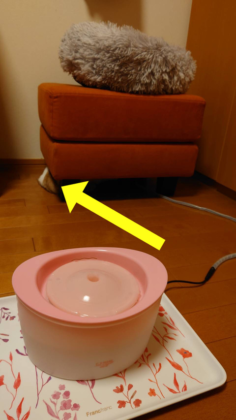 7AE58AE9-073E-458B-A168-1CF37962BBBD