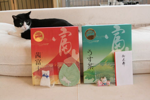 猫式ブログ~里親募集型猫カフェ