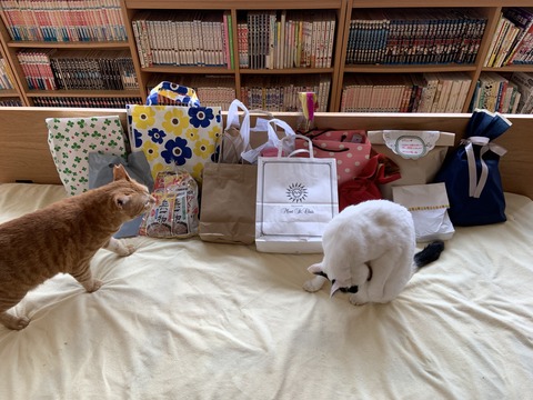 439F9BE1-8EF9-42A7-92F9-29D98A6BD51D