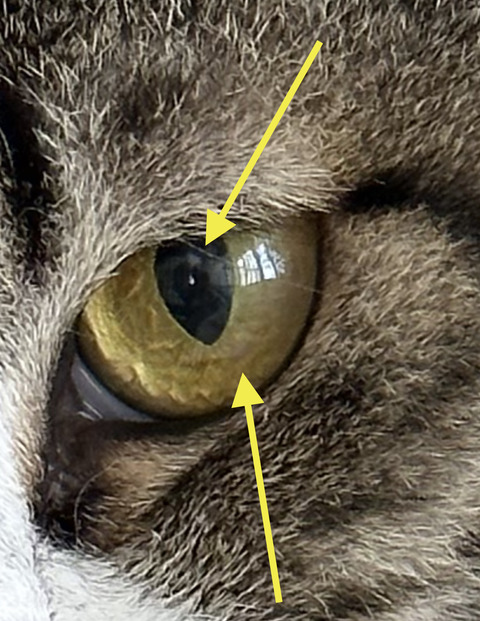 EC3886DA-1614-4887-9364-B9F8A3D636D0