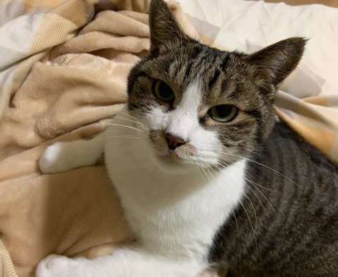 1A89844A-224C-42F6-BB76-7F492355BEA4