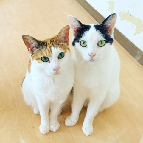 3E16D66C-104F-48B4-B41E-D7A3179D8840