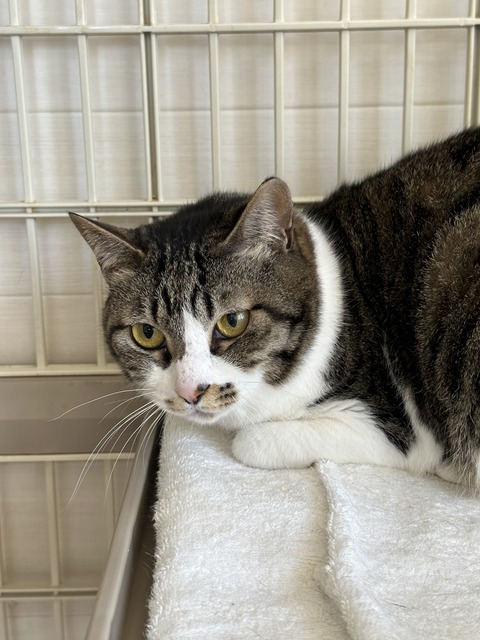 5082CE5A-4883-4DB1-807B-8DD95B277BC2