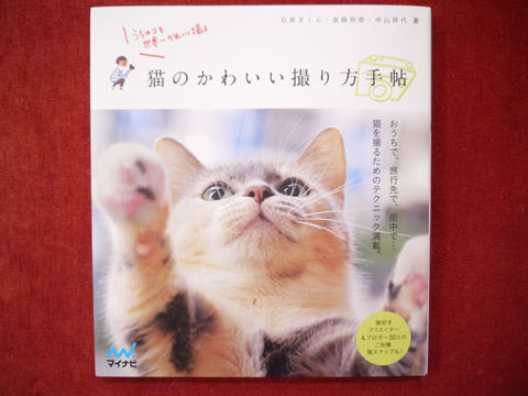 猫式ブログ~里親募集型猫カフェ
