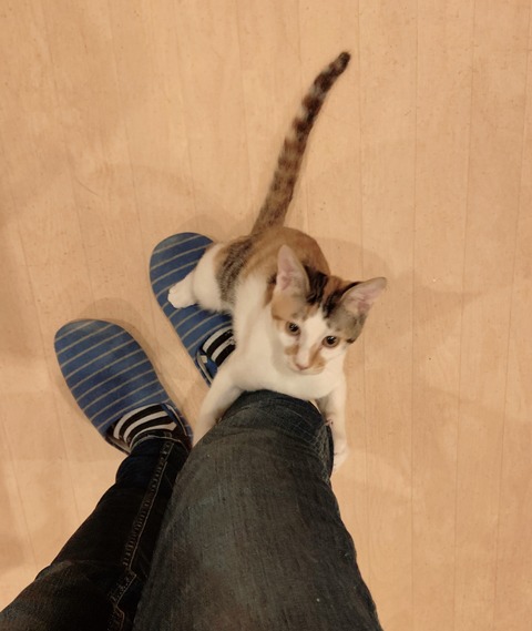 DE5FE849-3337-459E-A2EE-CEB98CDF467E