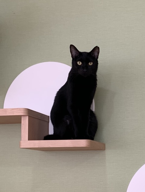 52A506F9-D057-46CD-9E9F-CC0DD3618592