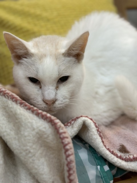 40BDF7CD-316D-422E-9107-F1219C6C68C8