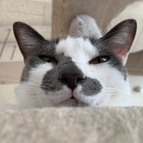 6775377E-E0C7-418E-8DC6-F67E3469AE41