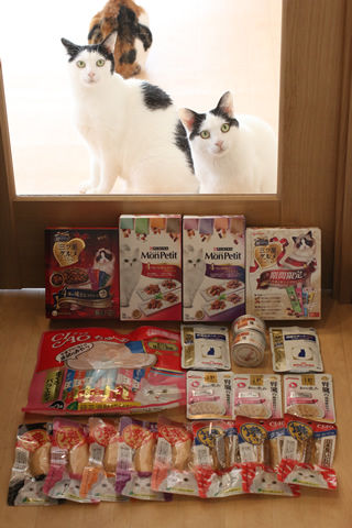 IMG_2329_ゆかぽんさん