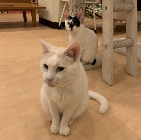 0C039697-0741-4646-B209-19E1F30FD394