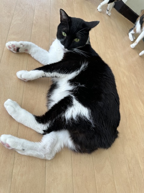 770C19EA-9A9D-4FF8-B611-F0F03BDCED69