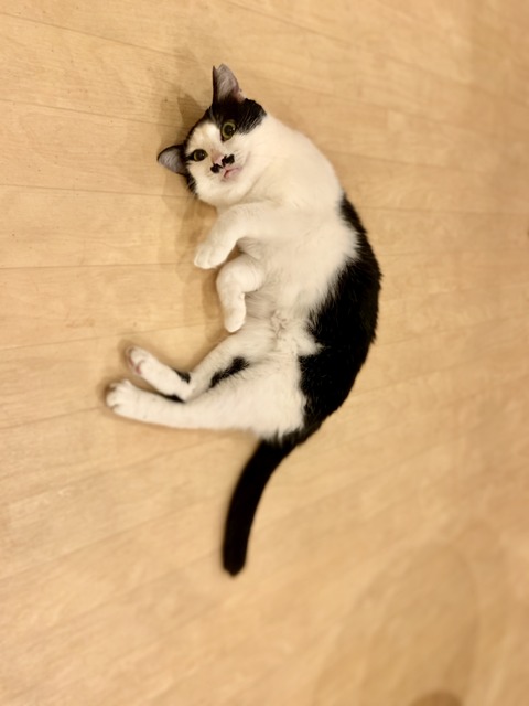 3531AFDD-E850-4BA7-A3D6-049A1ABC4495