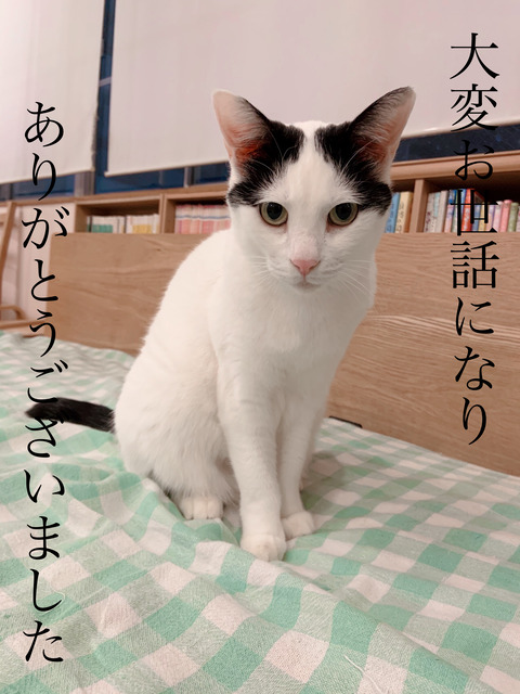 AAC513E2-D22F-4347-9479-17078171AB94