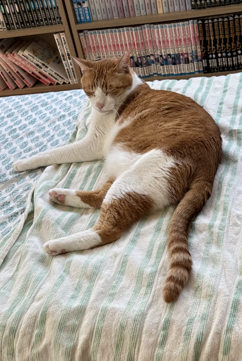 92EE0D24-FE03-465F-B7BA-44F7A60079C0