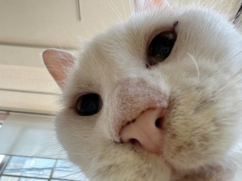 E9CB0F91-8DB9-4F8C-9AC9-43804D052E5F