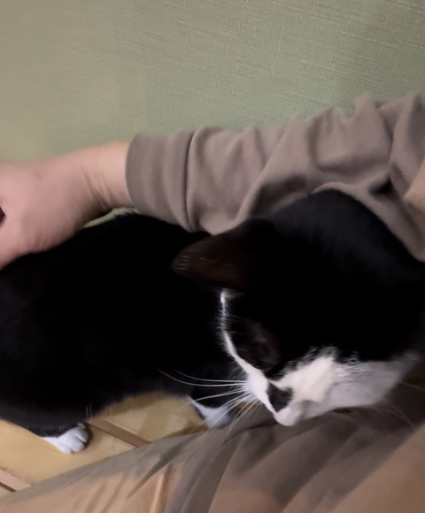 0EE7D256-FAD7-45A3-89D2-F7E1C723CCBD