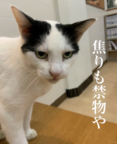 86272DC6-7118-4C87-8CE3-7ED399ECF668