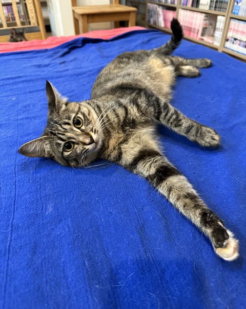 21F400CD-91BB-4ABE-BC49-344D7A54F838