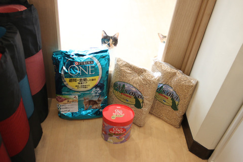 2018クリプレ_コニー＆ゴットン里親さん