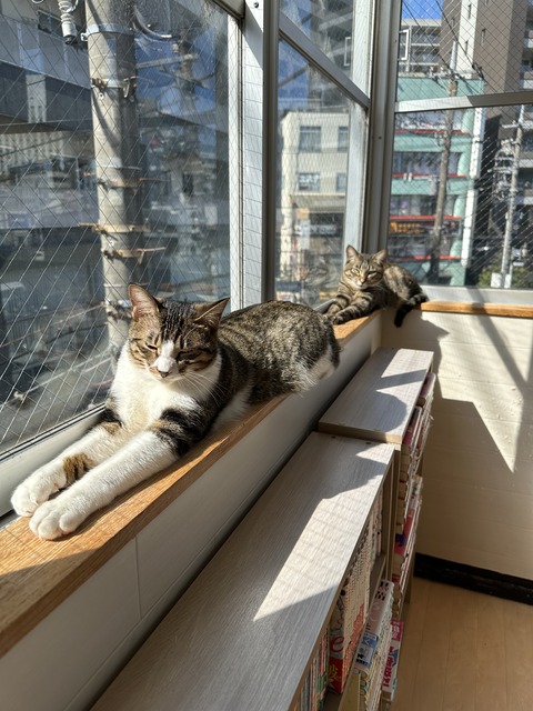 9EF7AB1B-5141-452F-897E-17BA788ADECD