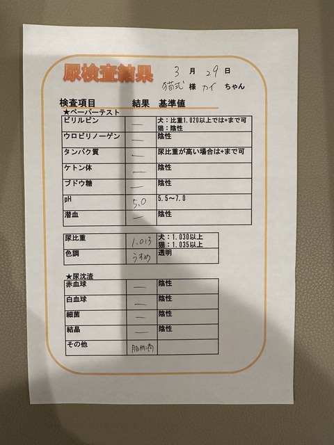 6C12E01B-B304-4B76-855D-E58F4B398498