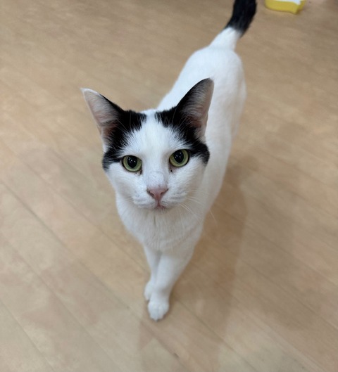 5B2E45EA-498B-493D-B676-3E3F2C245E52