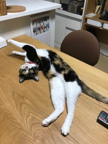 41F93C97-C623-4F1A-88BA-1CB297B97026