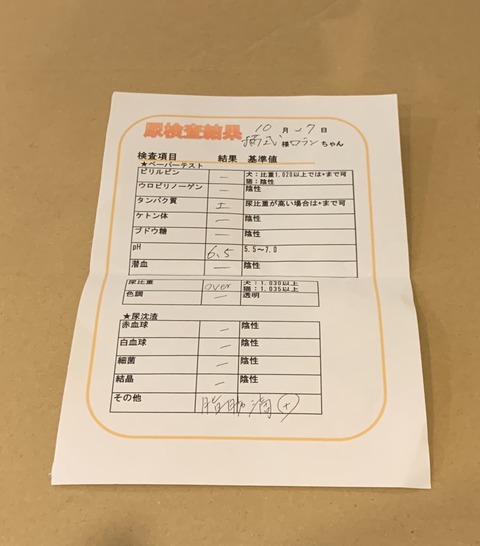 B144F29B-C7A4-4540-A685-D32B31F4D23C