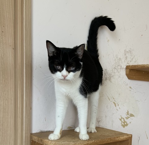 9F42A186-FA8C-43F7-BC49-84E087C0E821