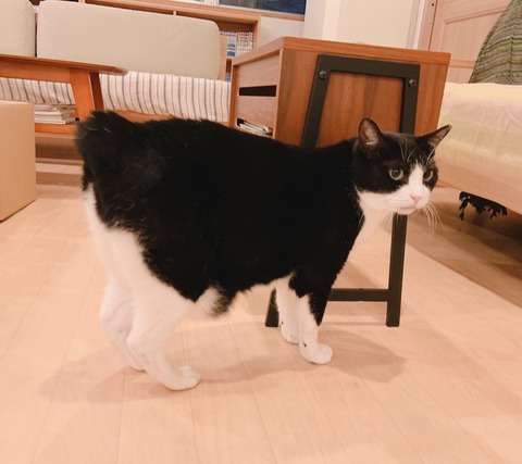 3C361B5B-0F6D-4AC1-89F4-291D29BE4C54