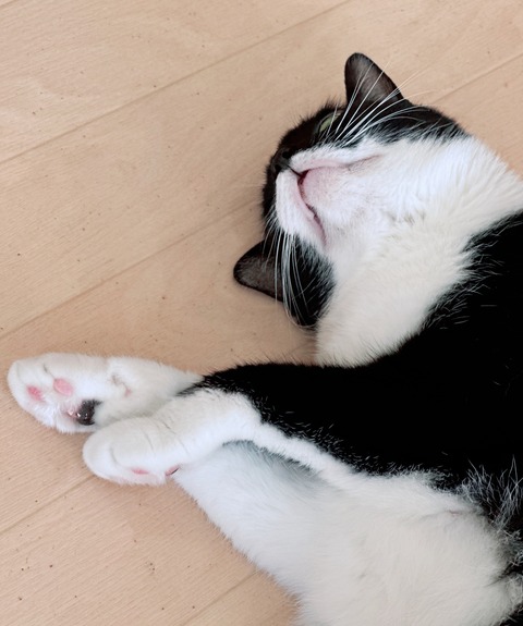 521BC9B6-51B4-43D1-8955-608167386DF7