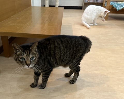 735BA26F-FD28-4608-A0F5-BC8320142AB5