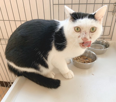 E6E98E63-EC33-461E-8E7E-3F786938B579