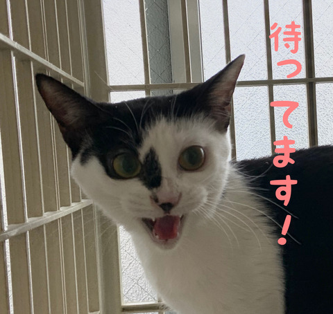 C3093C03-EE20-42A6-94C5-AC90B55F2E92