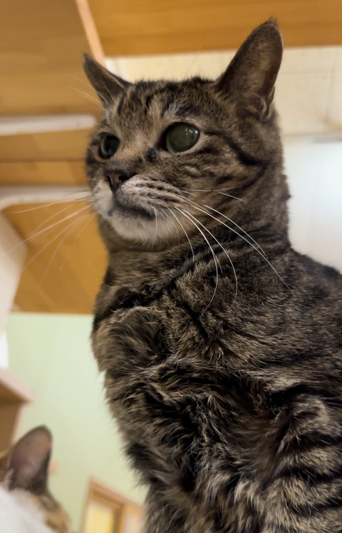 2145D67D-F1E6-4CBC-BE61-A41AE1DFD2D9