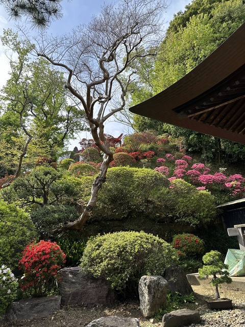 21FE9B63-F584-4EDF-BAD5-BE308F8AB10F