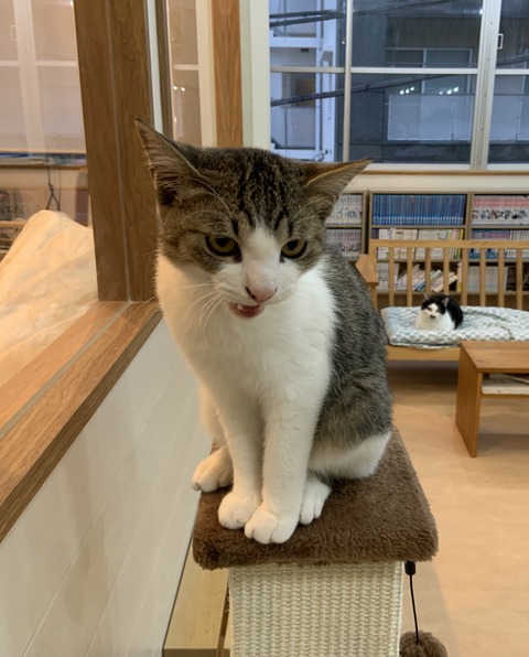 1CE98BD0-2277-4D84-9EBB-67B272130FCF