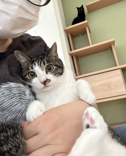 9D0AC0ED-8A8B-4B11-8E5B-5A752C7C583D