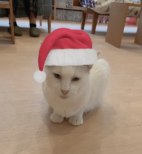 9505A5DF-8938-465B-BE09-386DE5361F89