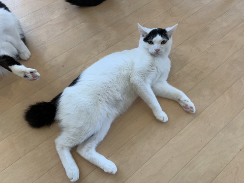 3B8B4AD8-2F65-4B7D-960A-F9DC3DD3EE66