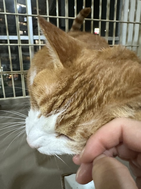 37F22680-D81F-4056-B8D1-FA9A2082AE23