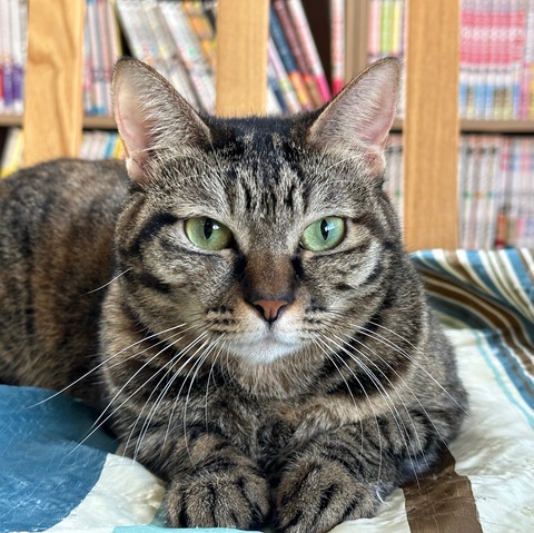 703BC6F4-D18C-4894-BC44-BD71B13505F5