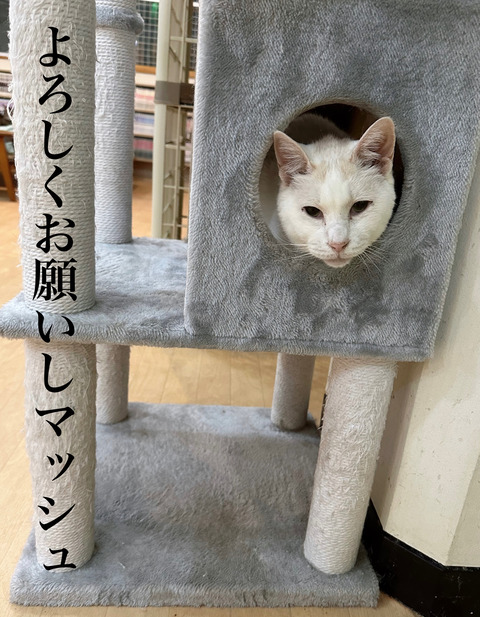 C7499F64-9C13-41B5-B320-F51AB0A8BEC0