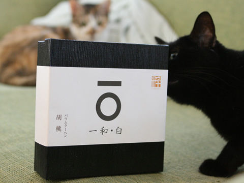 猫式ブログ~里親募集型猫カフェ