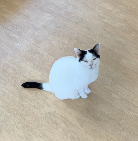 DF372570-BDCA-423B-8450-870ADC1C3091